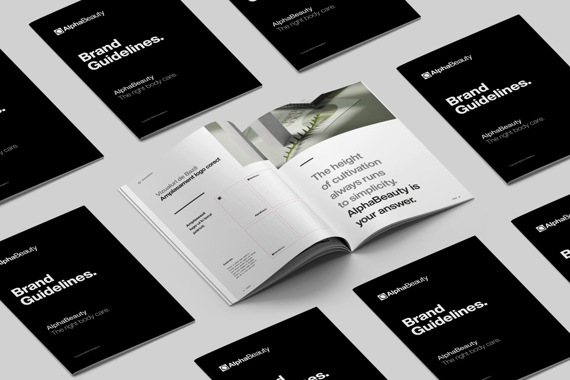 AlphaBeauty.ro – Branding, Strategie si Livrabile