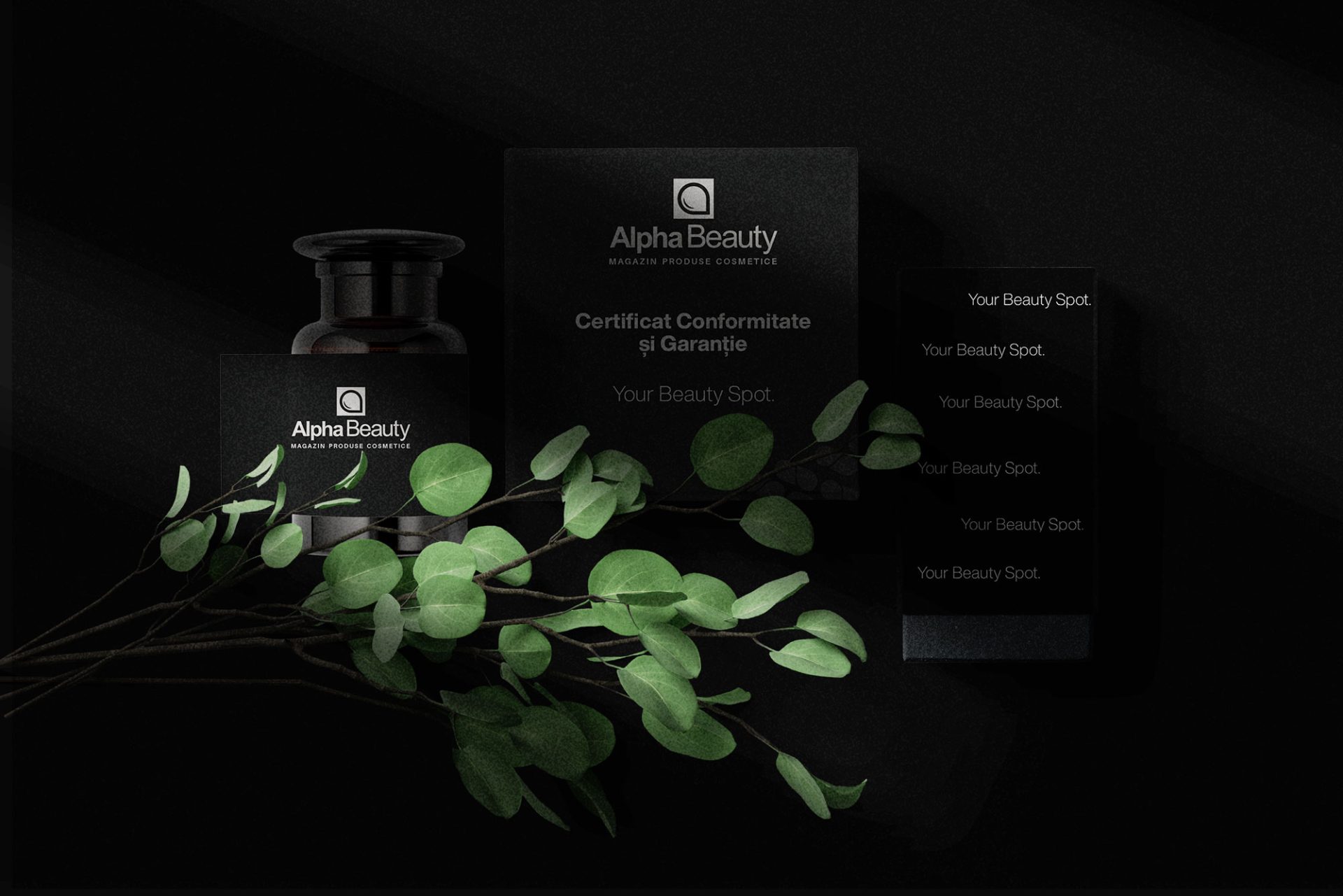 AlphaBeauty.ro – Branding, Strategie si Livrabile